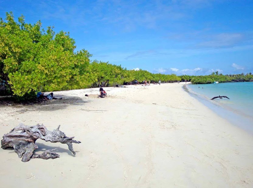 Tortuga Bay